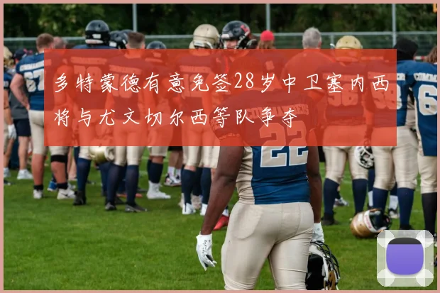 多特蒙德有意免签28岁中卫塞内西将与尤文切尔西等队争夺